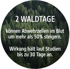 ShinrinYoga Waldbaden - Der Biophilia-Effekt wirkt.