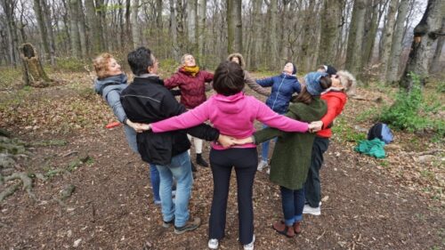 Menschen im Kreis sich stützend bei einer Übung namens Tensegrity beim Team-Waldbaden nach ShinrinYoga