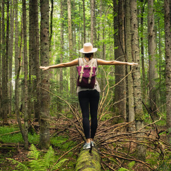 Frau balanciert auf Baumstamm im wald