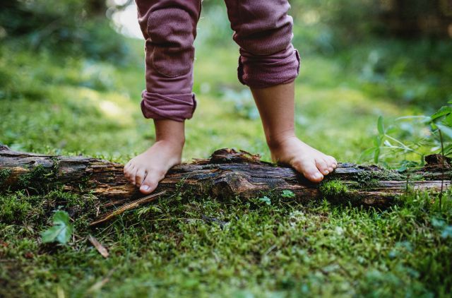 Waldbaden für Kinder