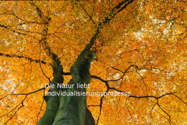 Schamanismus_Individualisierung